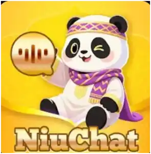 Nou chat