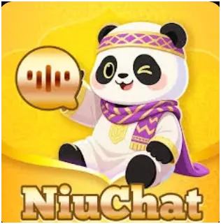 Niu chat سيرفر 1