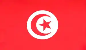 نلغرام تونس