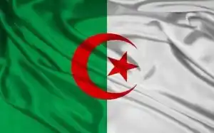 تلغرام جزائر